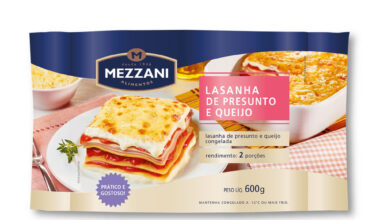 LASANHA PRESUNTO E QUEIJO 600G