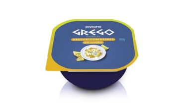DANONE GREGO ABACAXI COM LIMÃO 90G